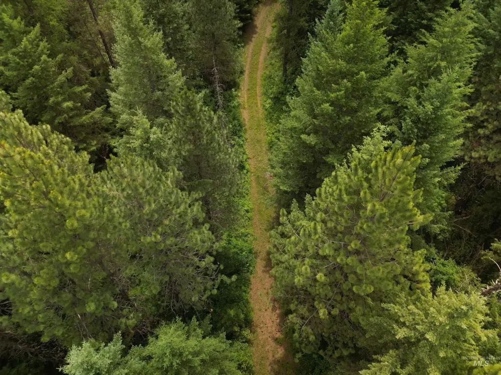 Picture 44