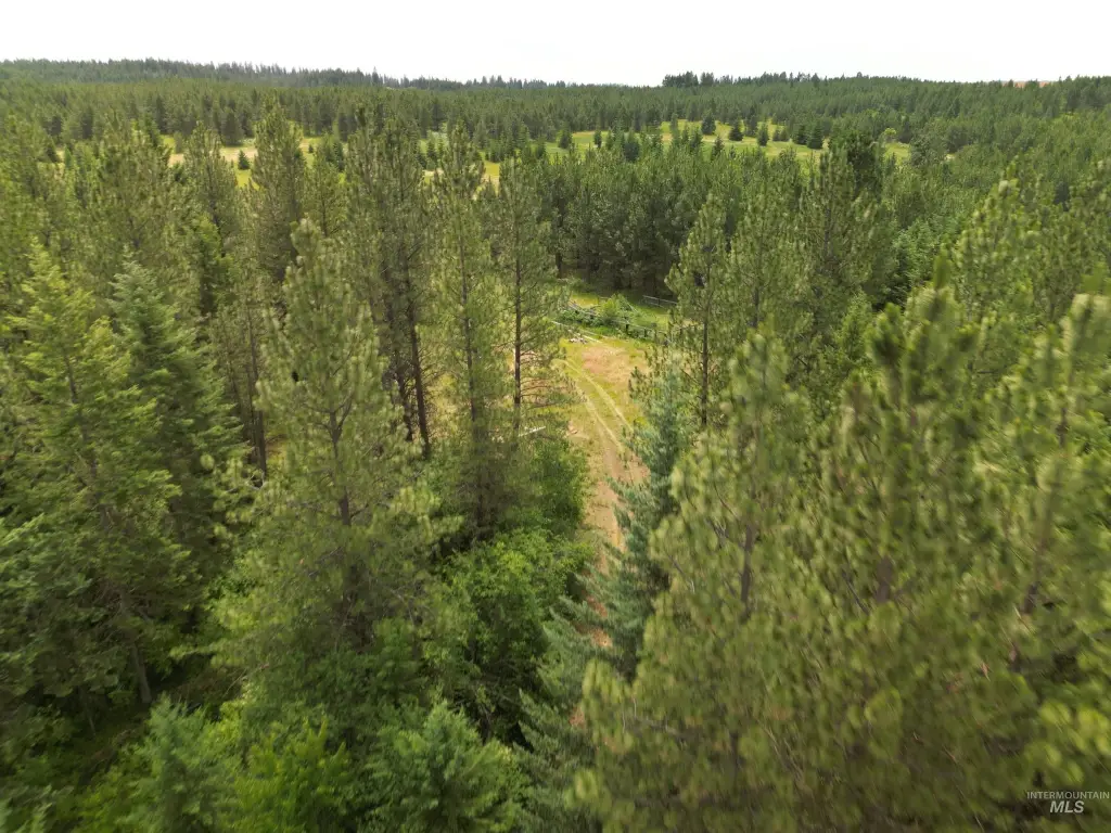 Picture 29