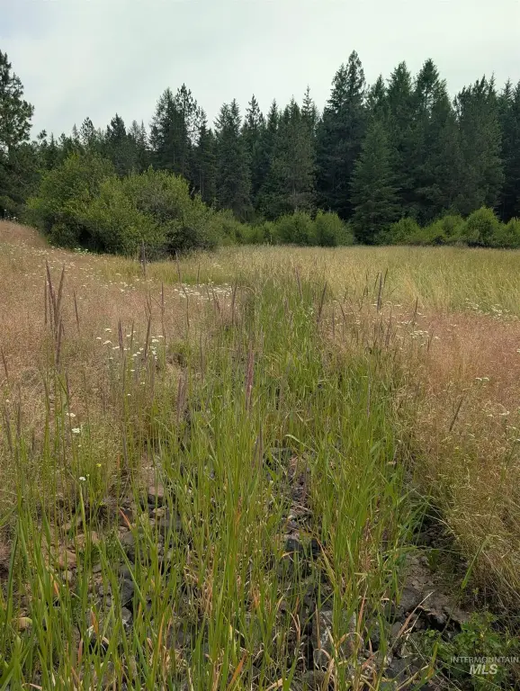 Picture 12