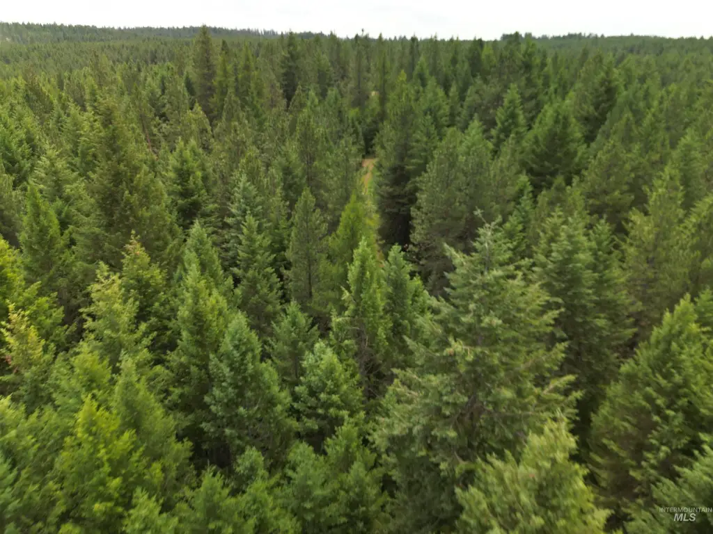Picture 43