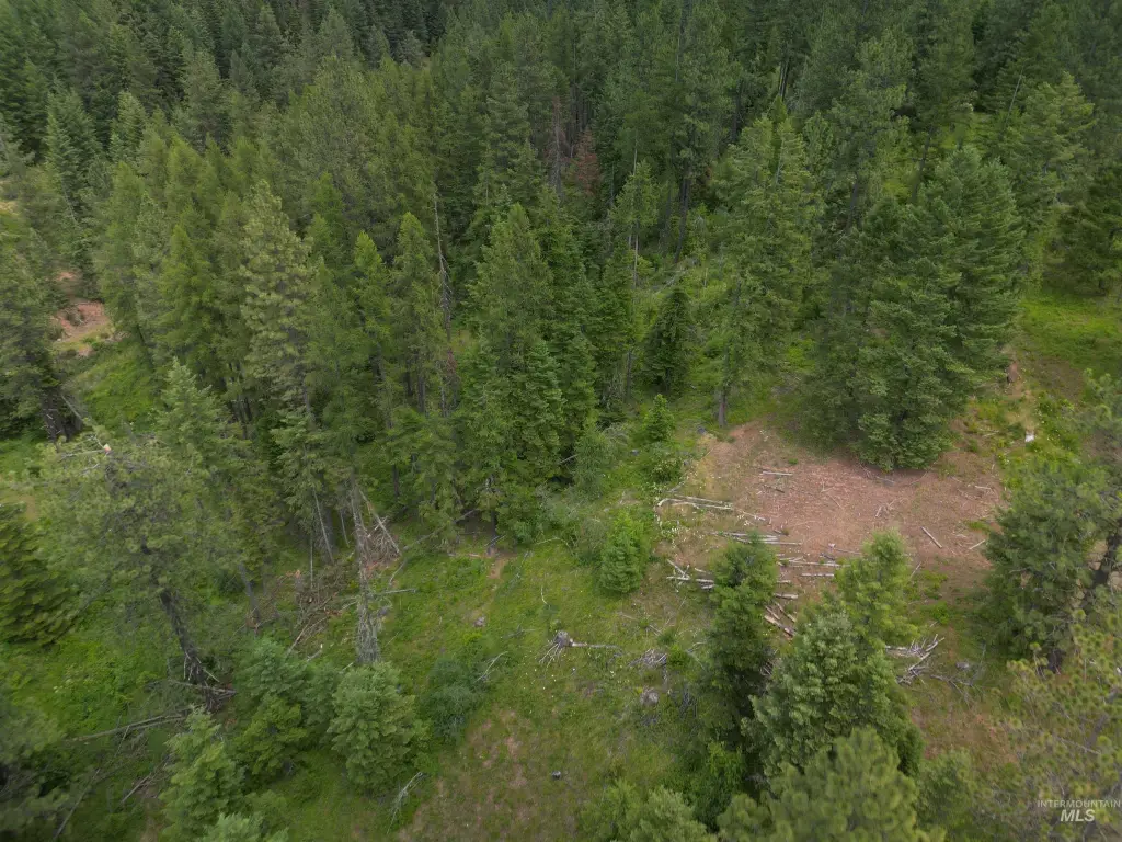 Picture 24