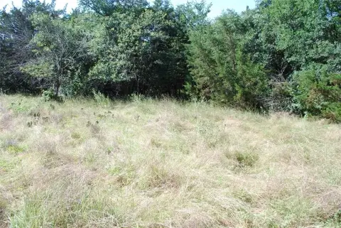 Land in White Bluff Resort