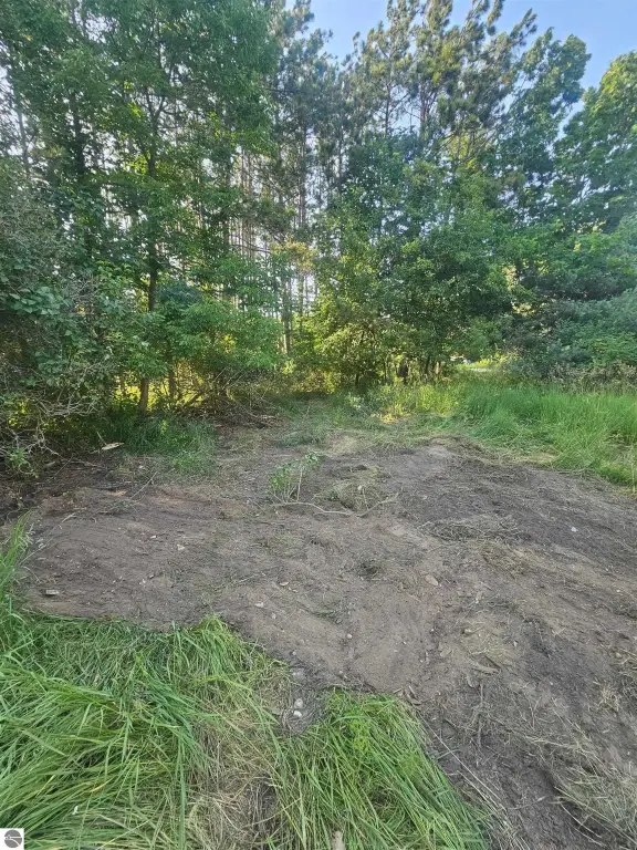 Picture 19
