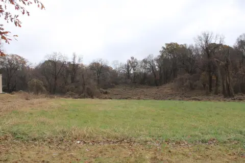 Commercial Land in Ripley, TN