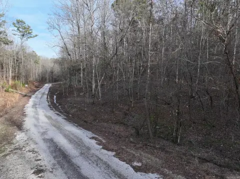 Land Near Lake Ouachita