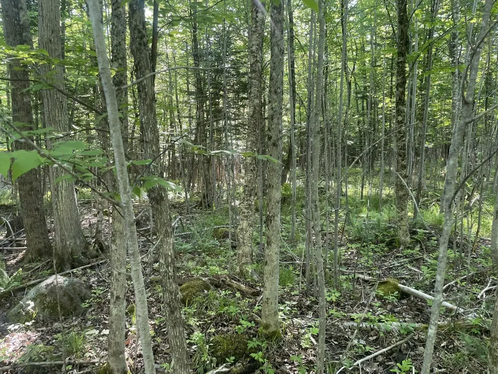 Picture 40