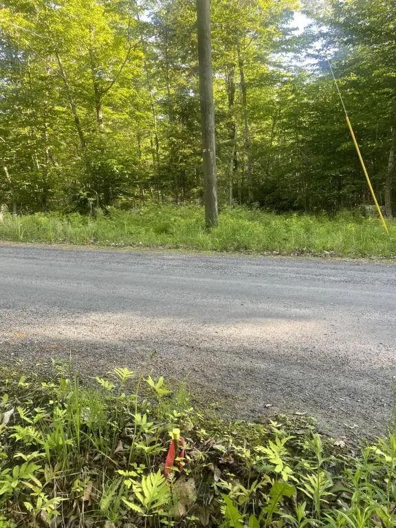 Picture 25