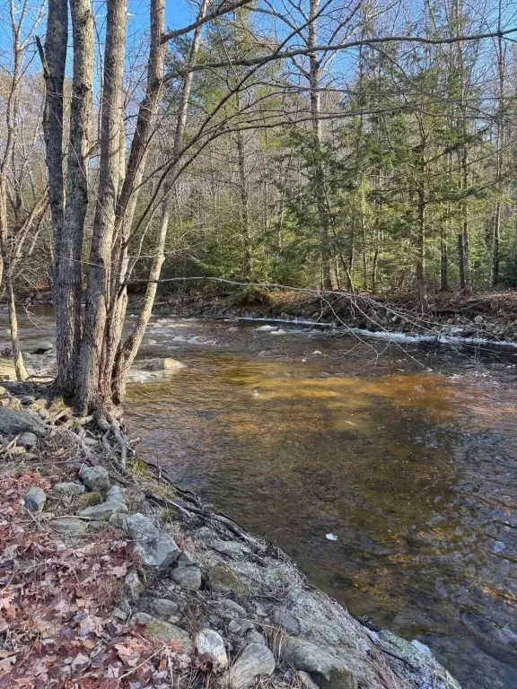 Picture 2