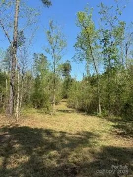 26.5 Acres of Land