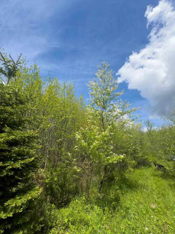 Picture 18