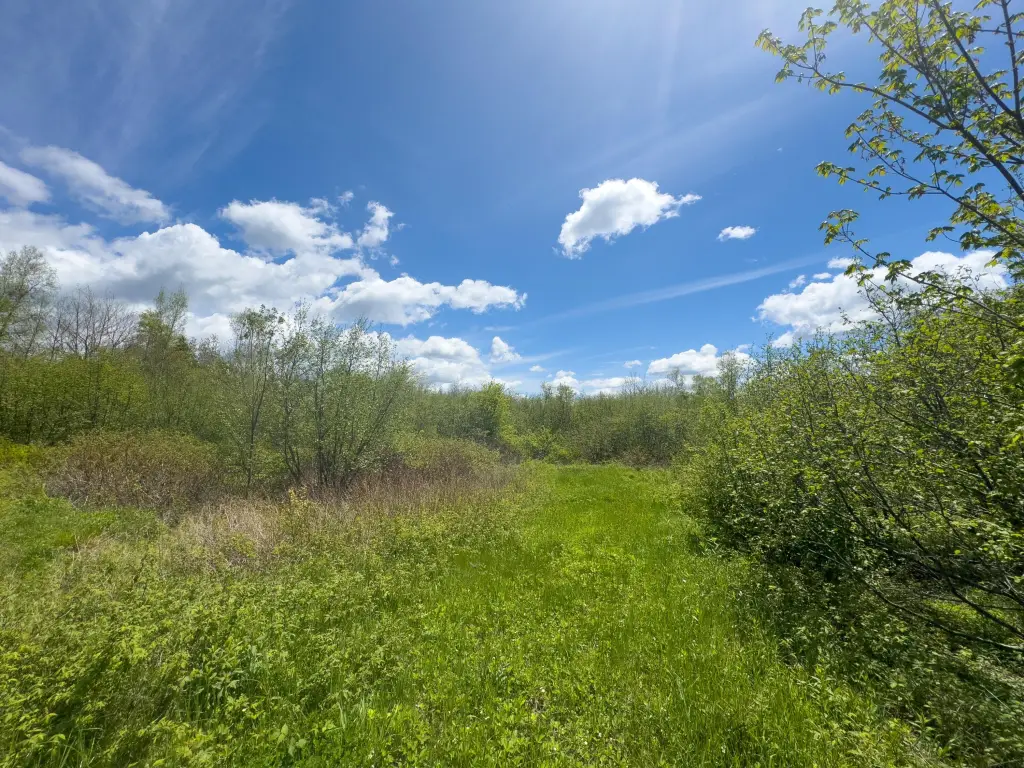 Picture 20