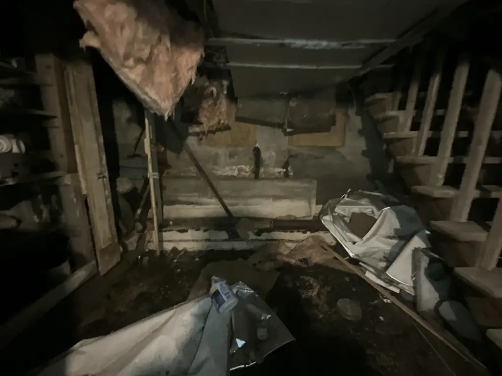 Picture 11