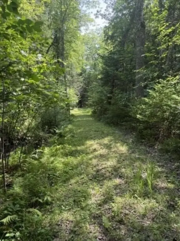 Picture 19