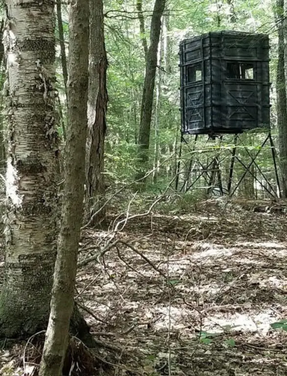 Picture 12