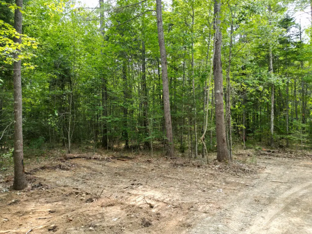 Picture 5