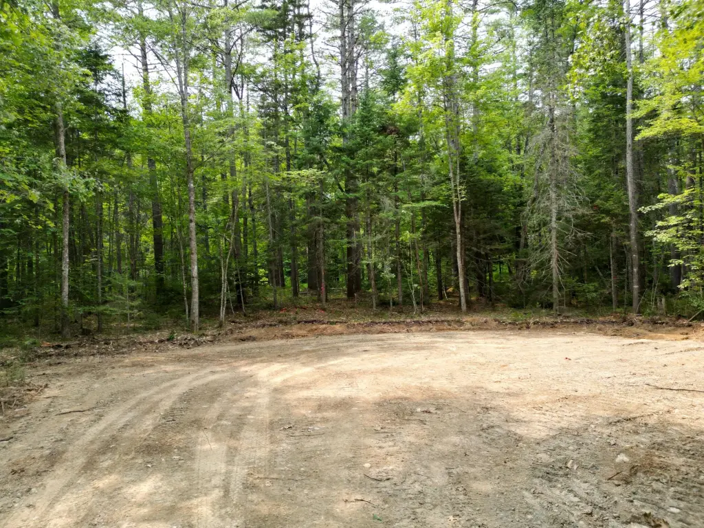 Picture 2
