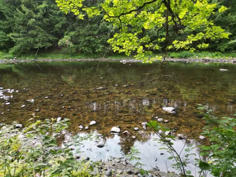 Waterfront Land With River Frontage