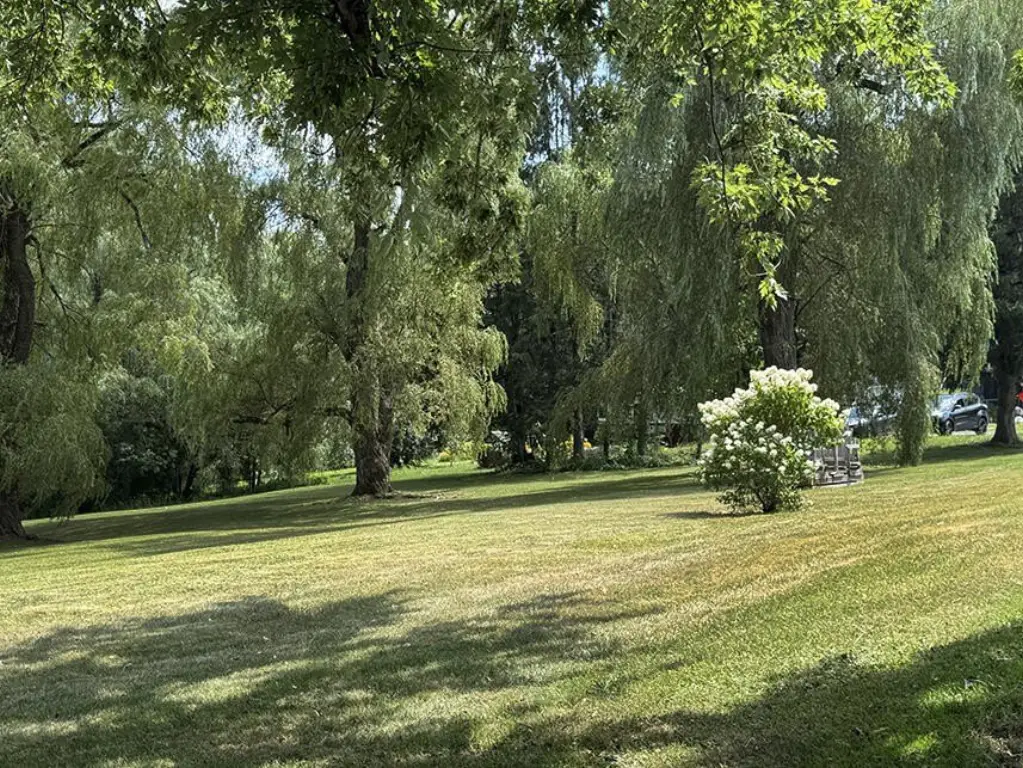 Picture 26