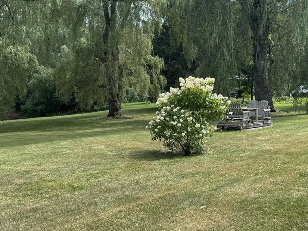 Picture 27