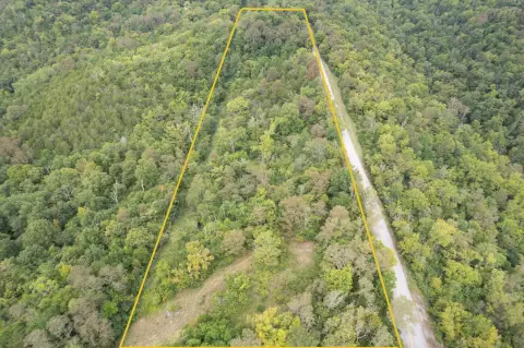 Wooded Hunting Land