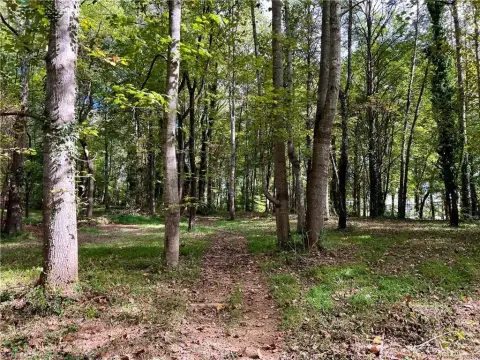 Mount Airy Wooded Land Parcel