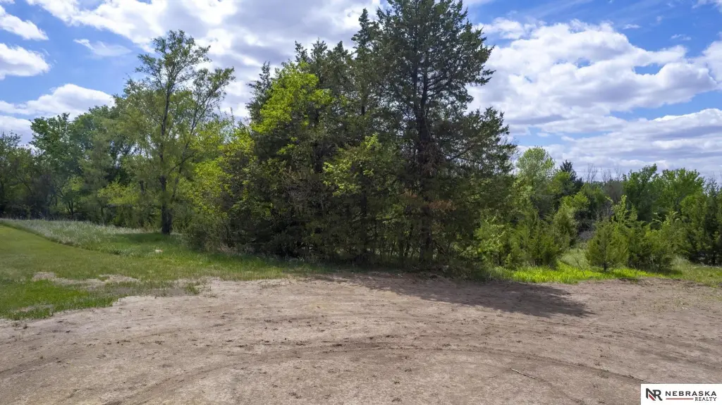 Picture 25