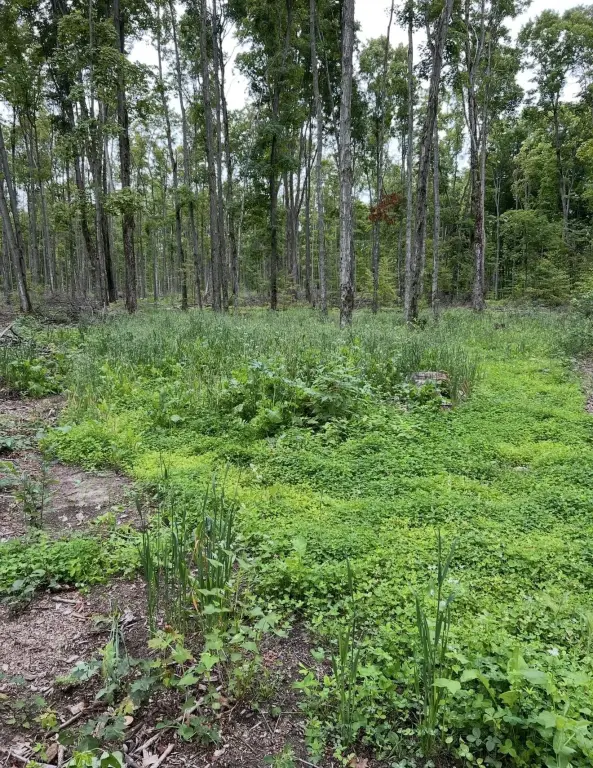 Picture 21