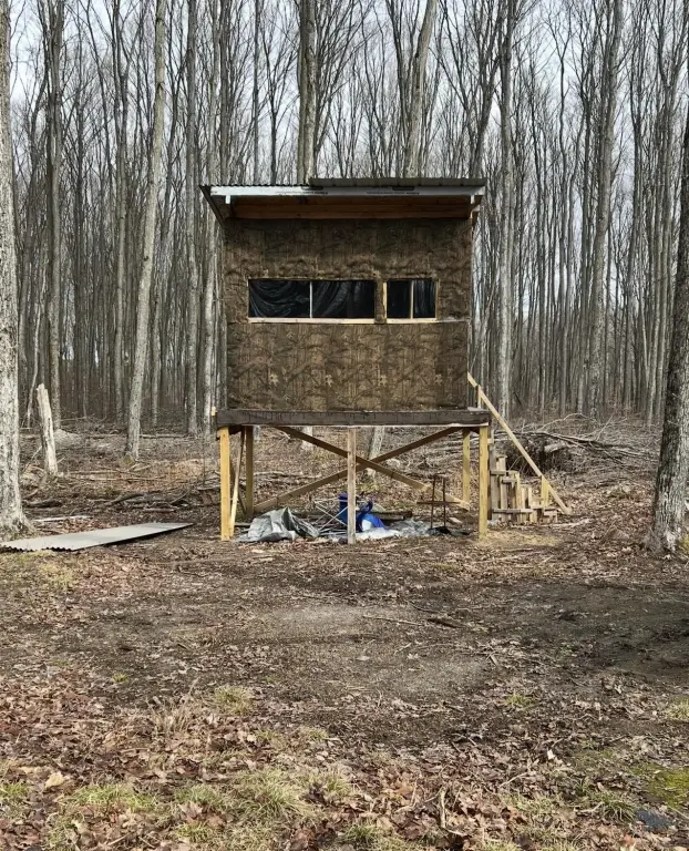 Picture 18