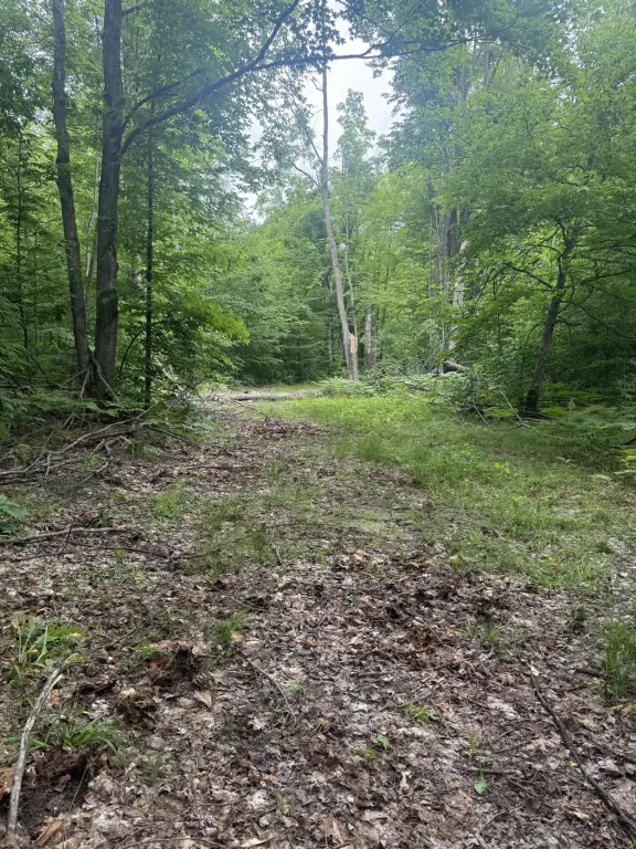 Picture 38