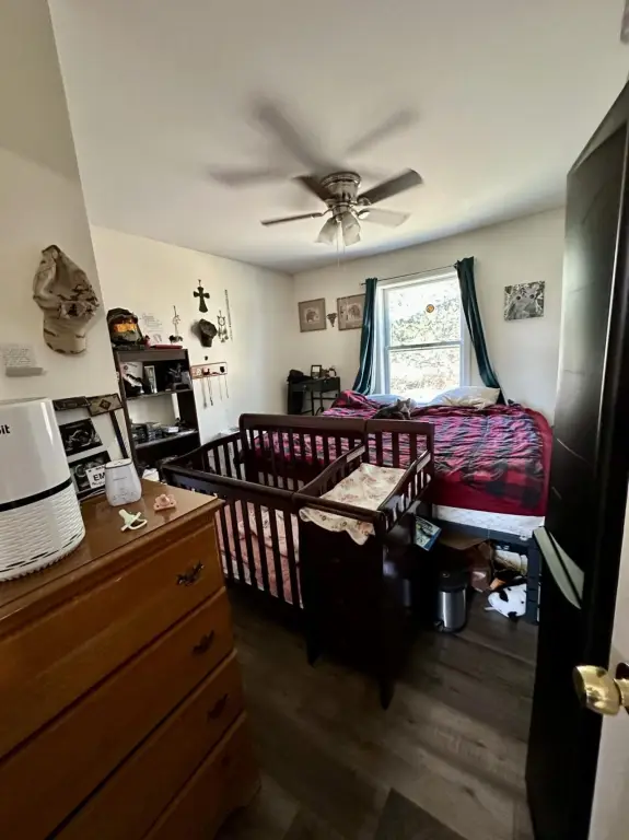 Picture 21