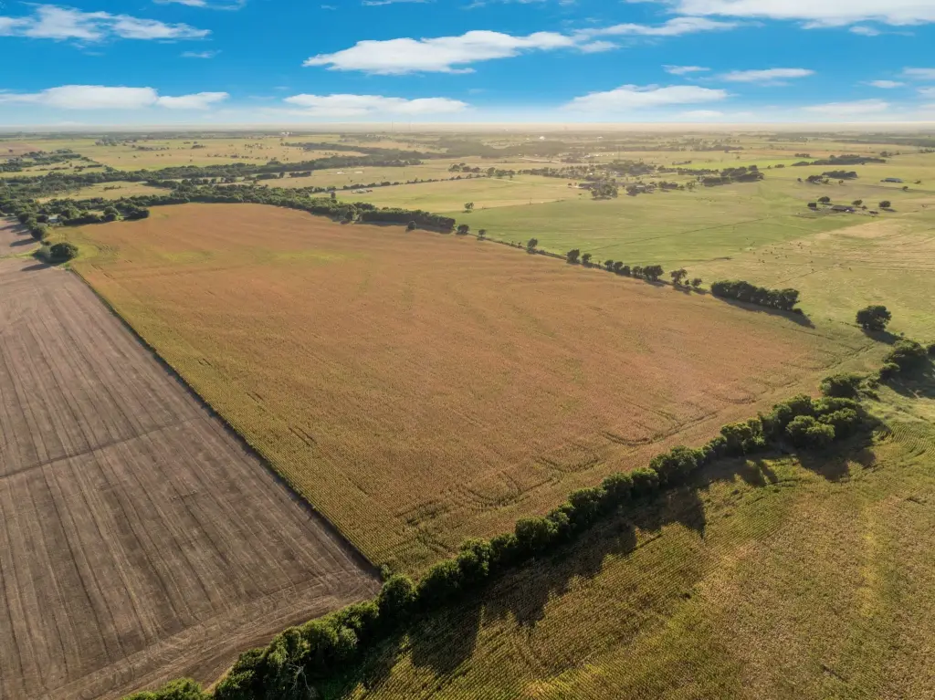 Picture 12