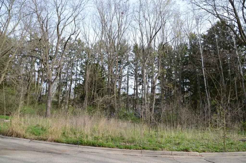 Picture 14