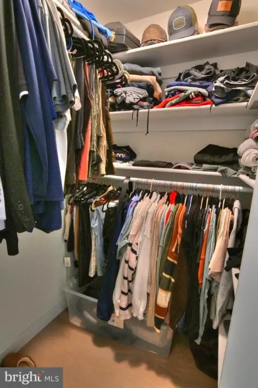 Picture 41