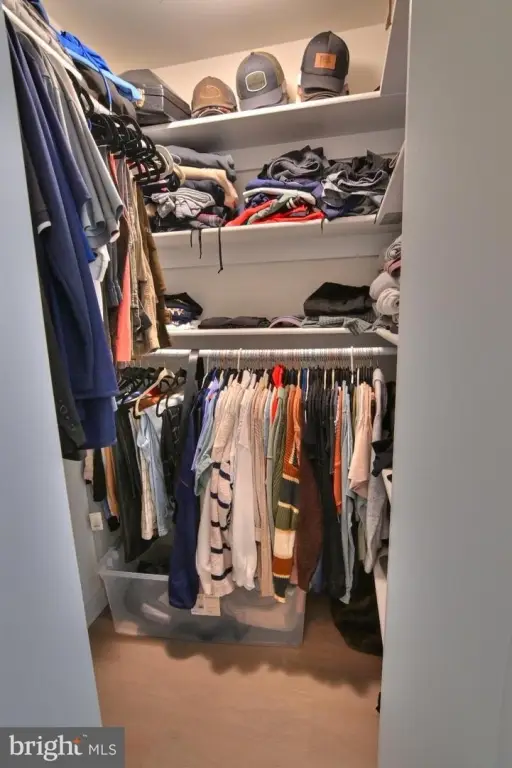 Picture 42