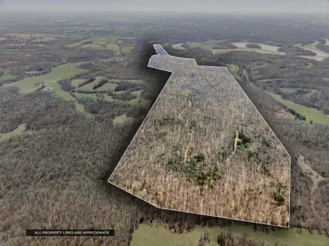 263 Acres Prime Hunting Land