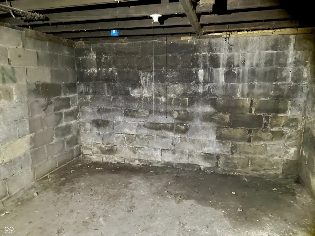 Picture 43