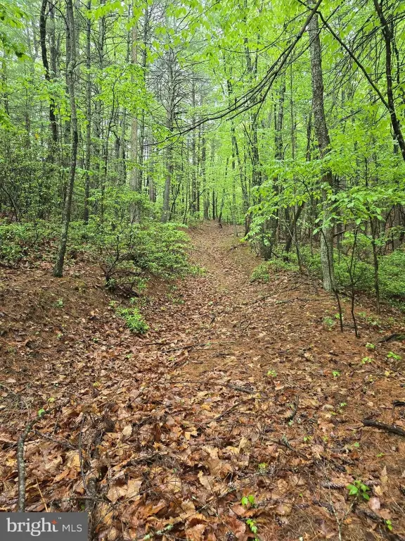 Picture 36