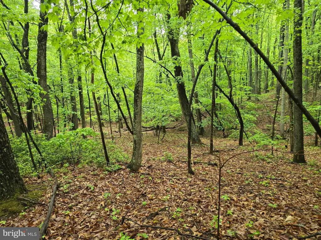 Picture 33