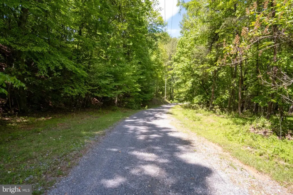 Picture 20