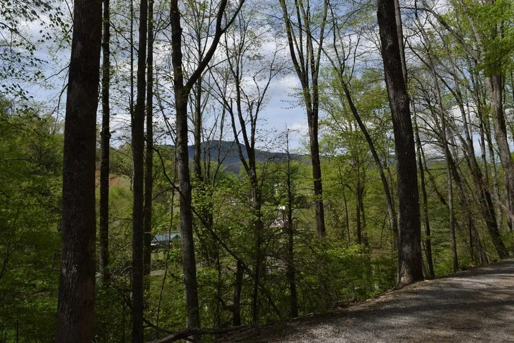 Picture 13