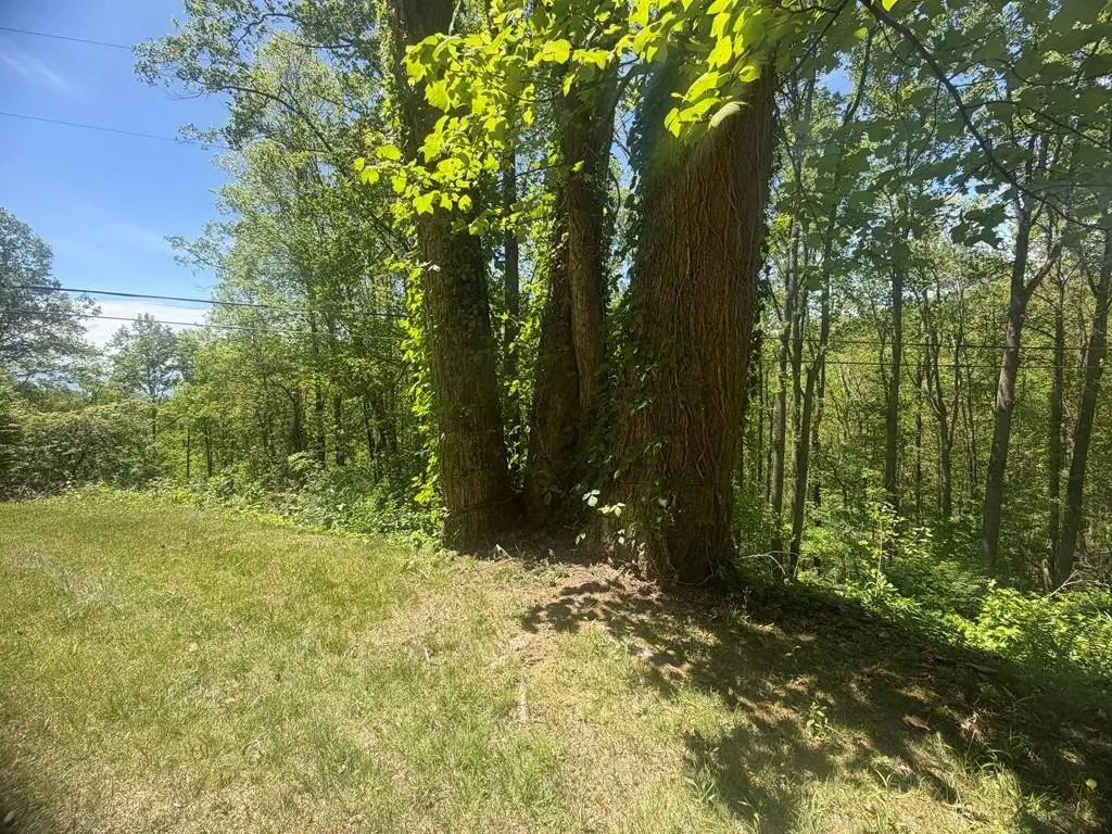 Picture 7