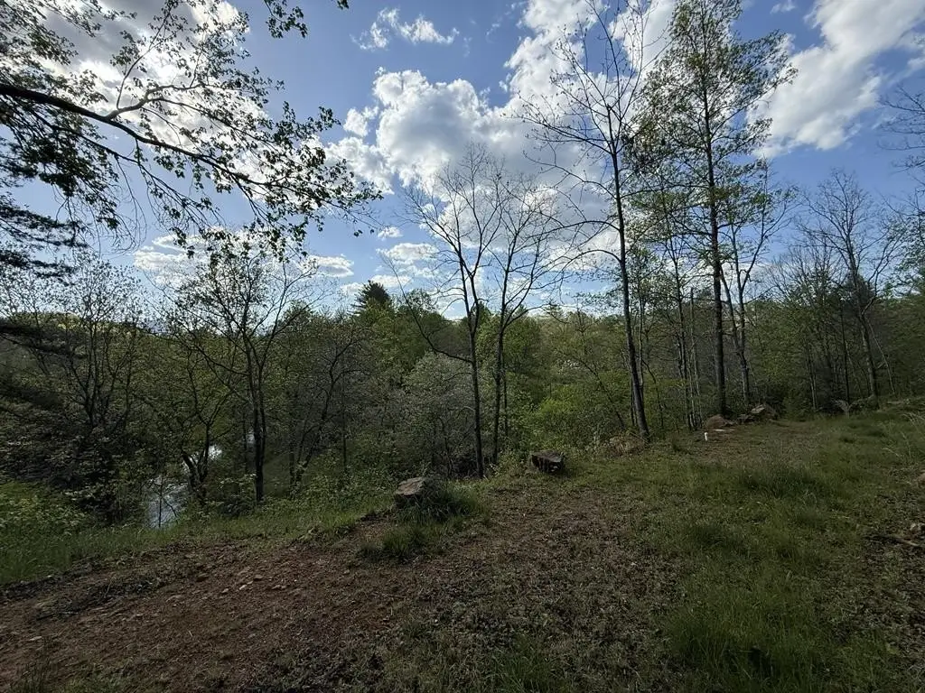 Picture 13
