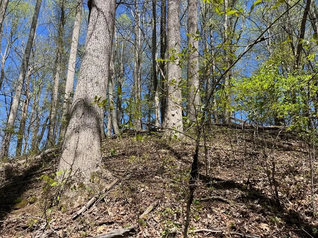 Picture 14