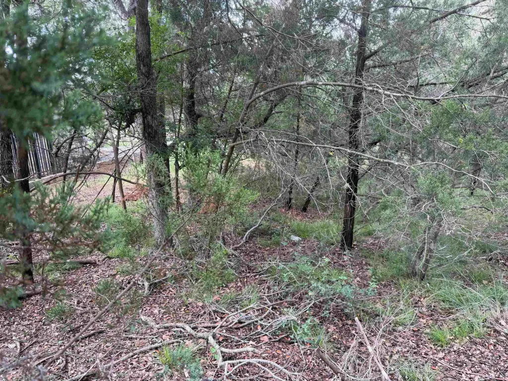 Picture 10
