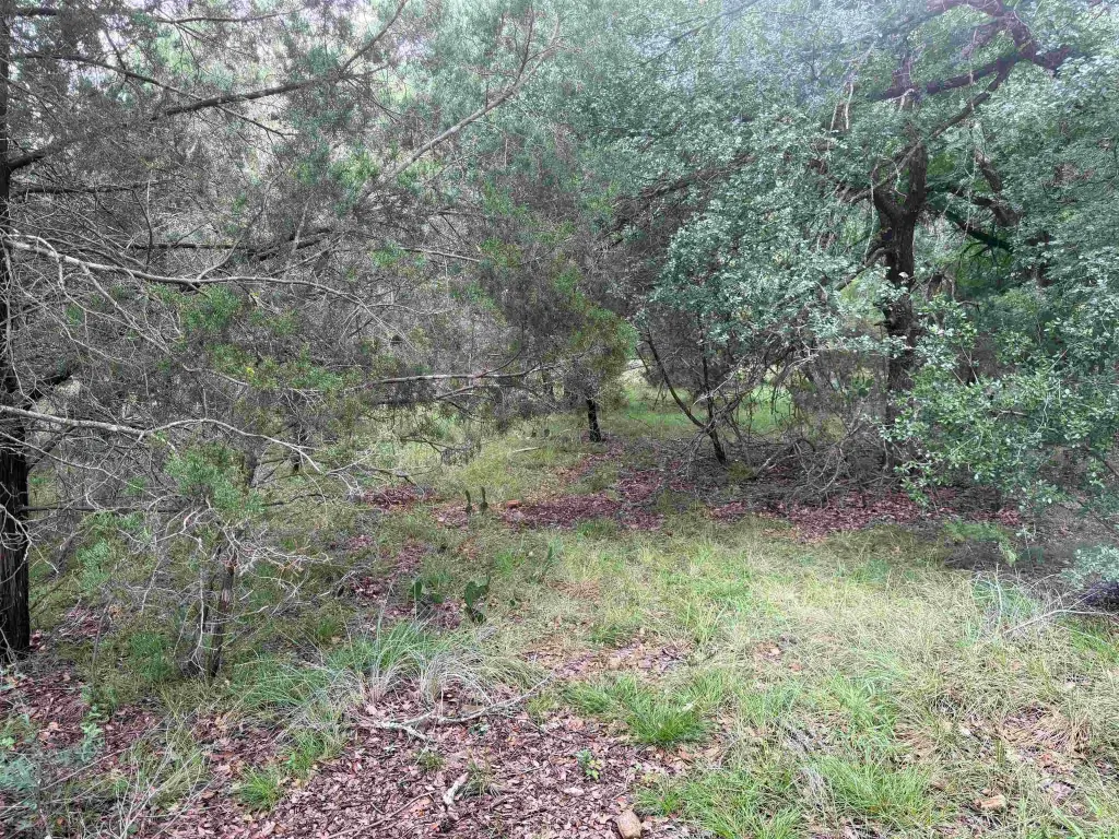 Picture 11