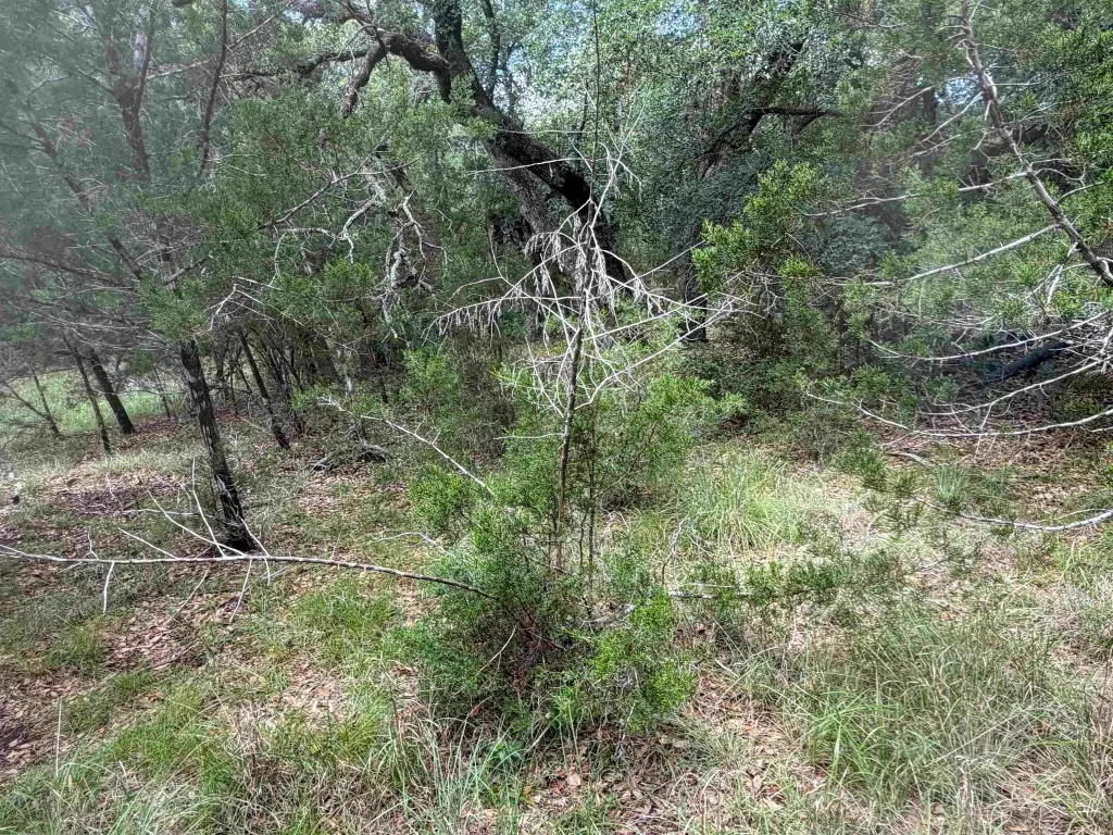 Picture 17