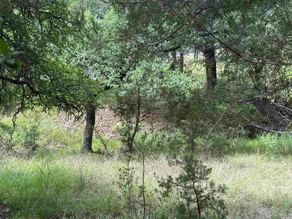 Picture 18