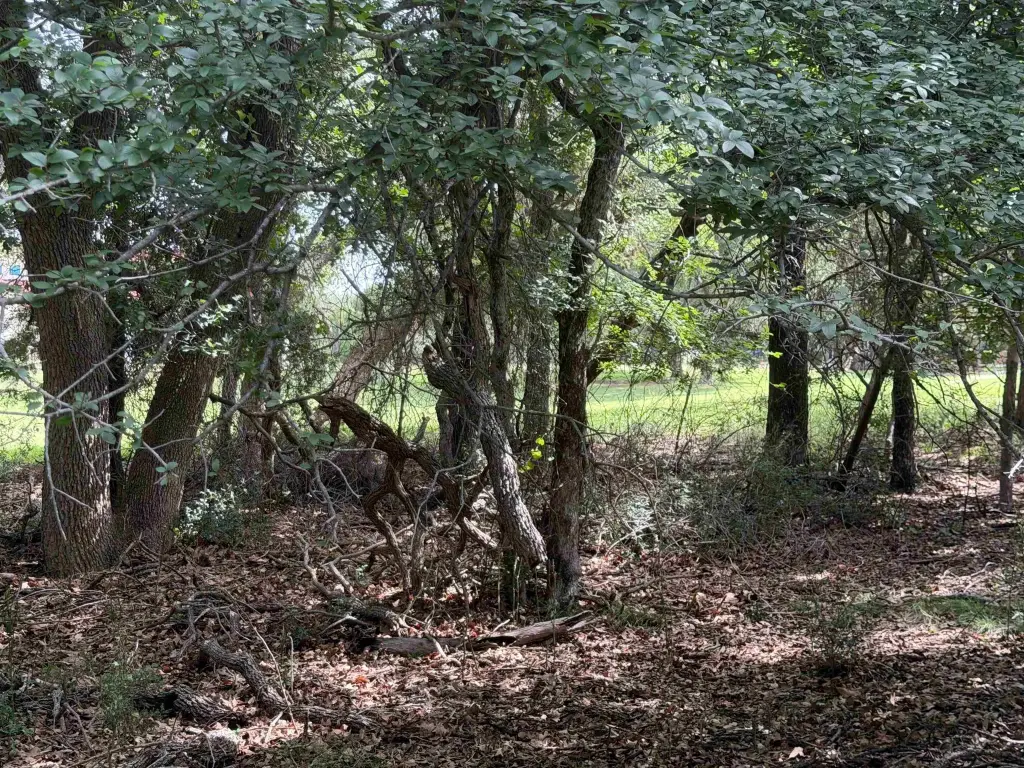 Picture 19