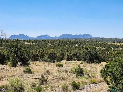 148+ Acre Rural New Mexico Land