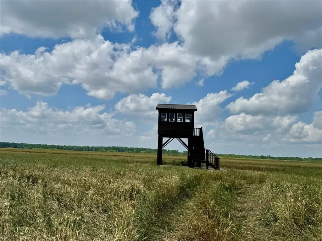 Picture 30